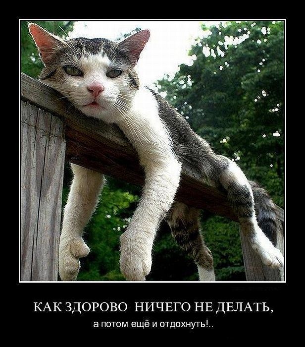 http://cs11143.vkontakte.ru/u12874593/134358554/y_93226729.jpg